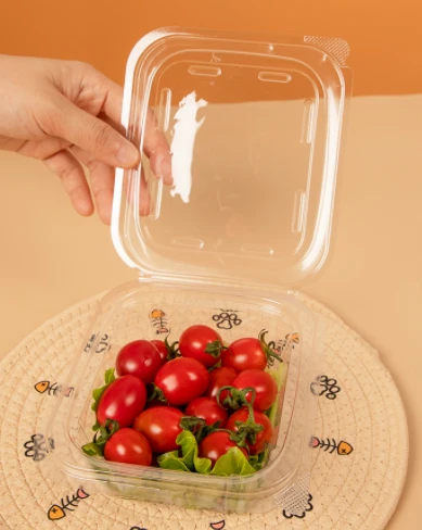 Plastične četvrtaste zdjele za salatu