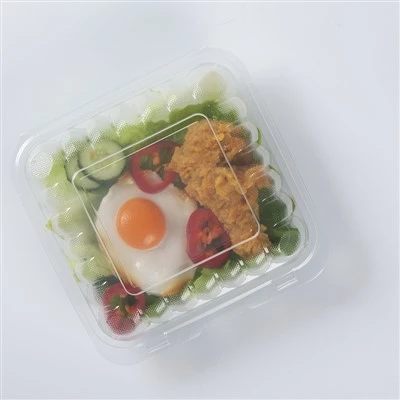 Bento kutija za ručak za hranu za ponijeti