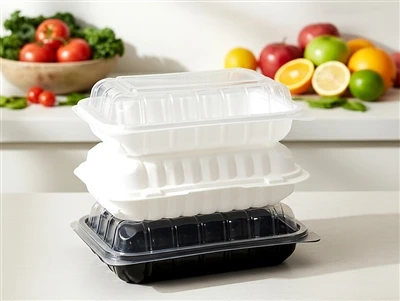 Disposable Takeaway Containers?